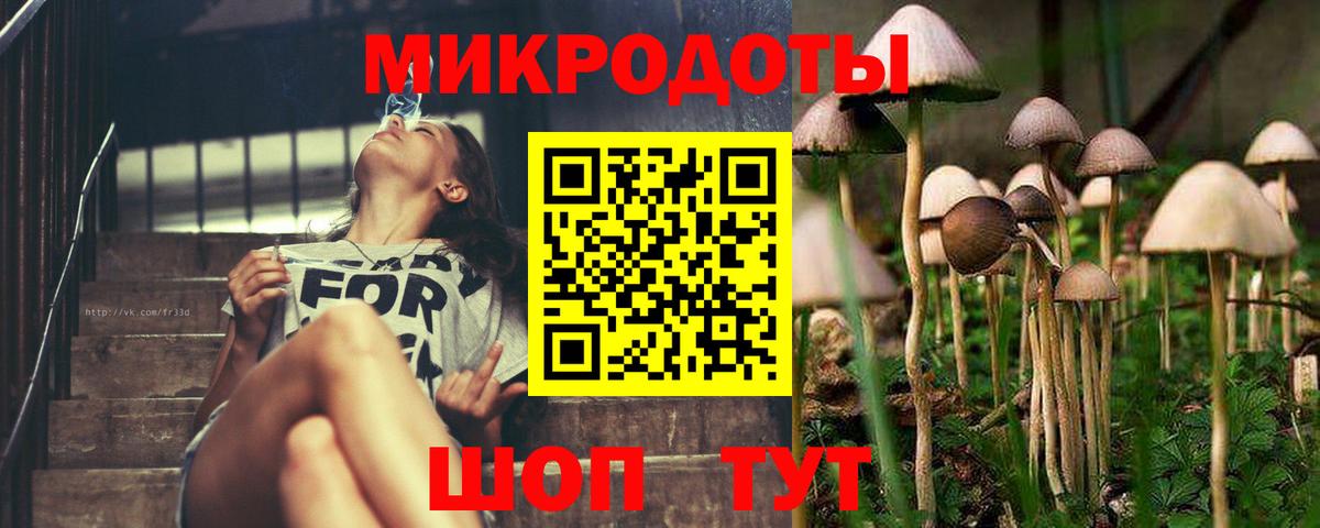 Галлюциногенные грибы мицелий  Галлюциногенные грибы MAGIC MUSHROOMS  Вход с VPN  Мичуринск 